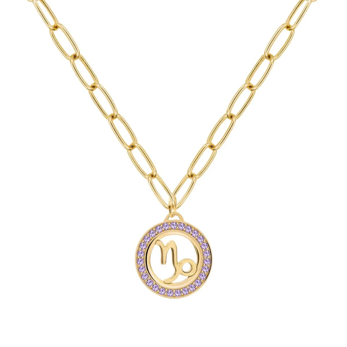 Capricorn & Birthstone Pendant in 14k Gold - Image 4