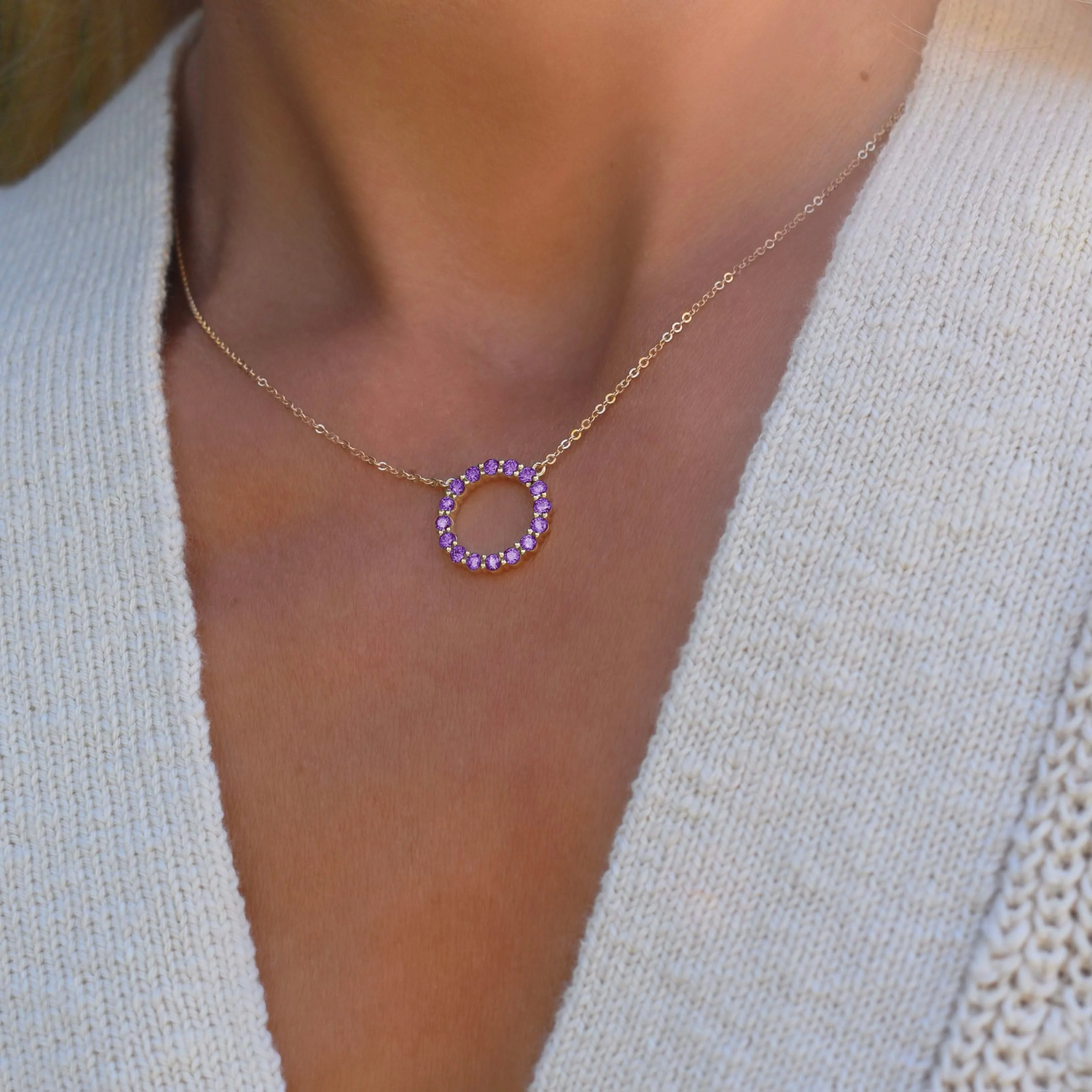 Rosecliff Circle Amethyst Necklace in 14k Gold (February) - Image 10