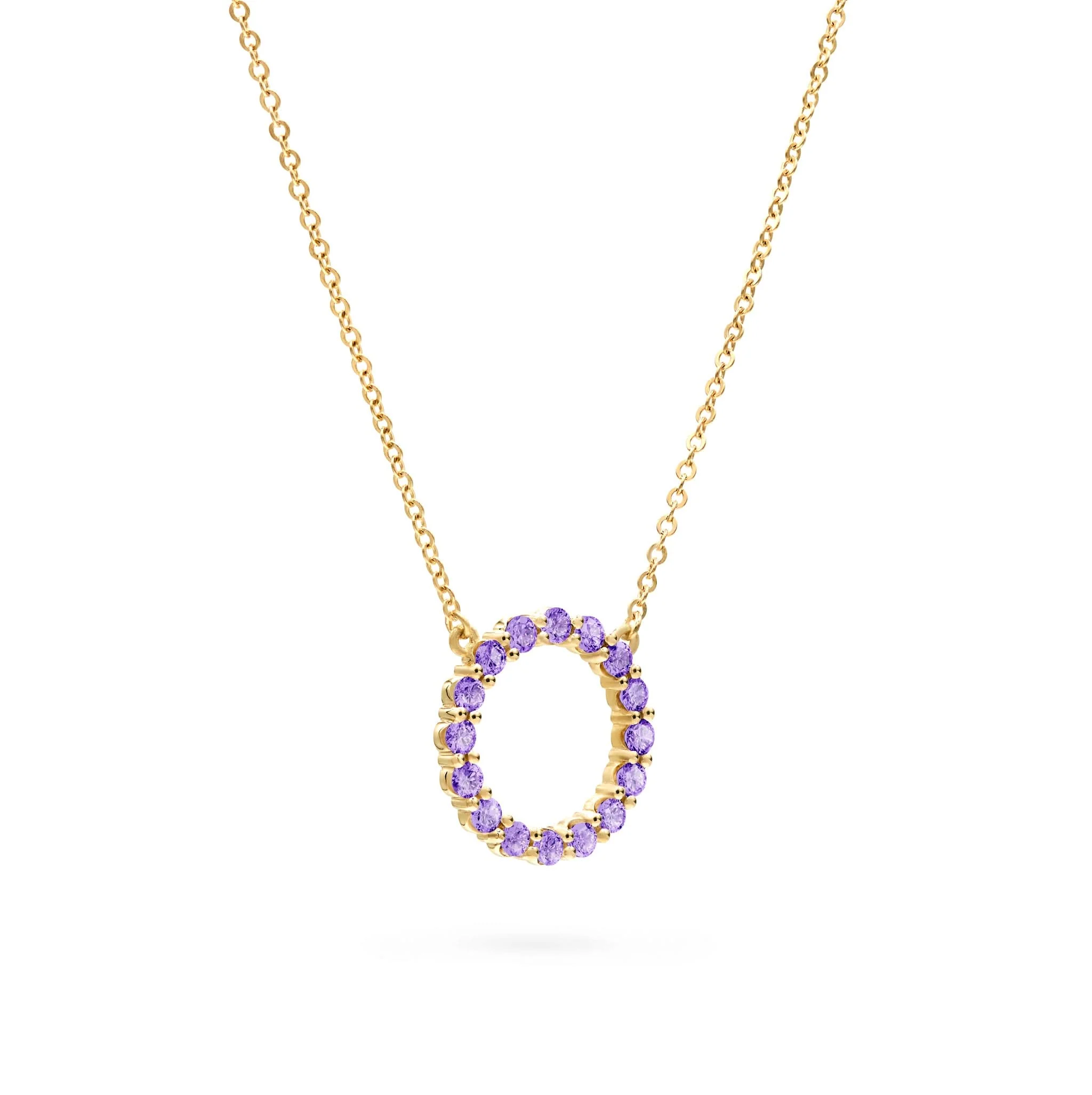 Rosecliff Circle Amethyst Necklace in 14k Gold (February) - Image 4