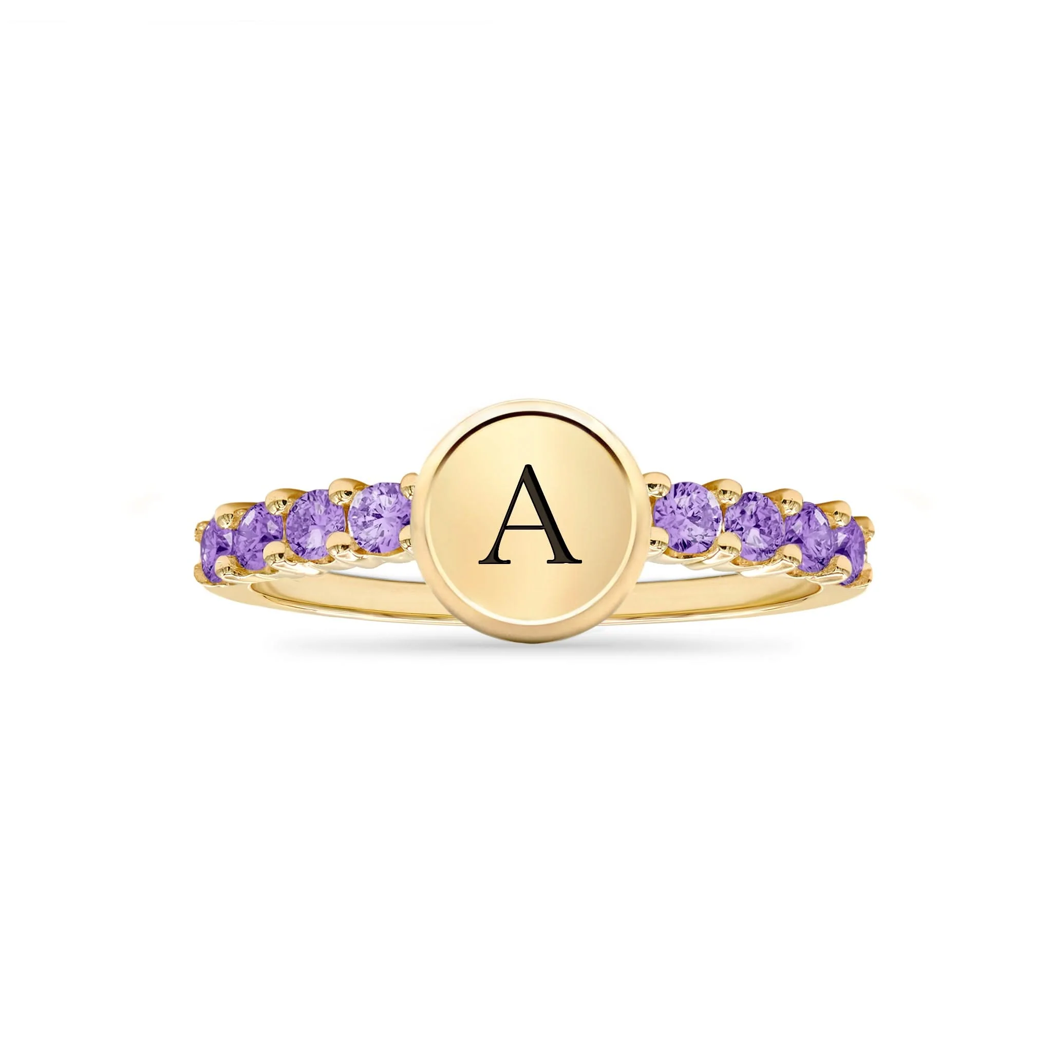 Rosecliff Letter Amethyst Ring in 14k Gold (February) - Image 5
