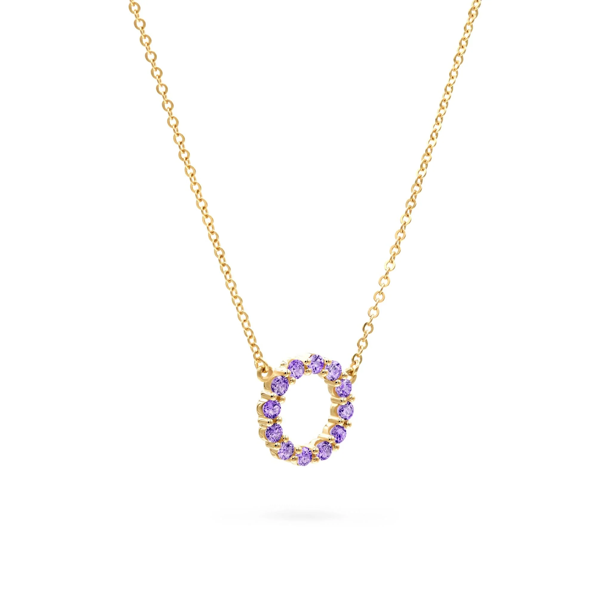 Rosecliff Small Circle Amethyst Necklace in 14k Gold (February) - Image 4