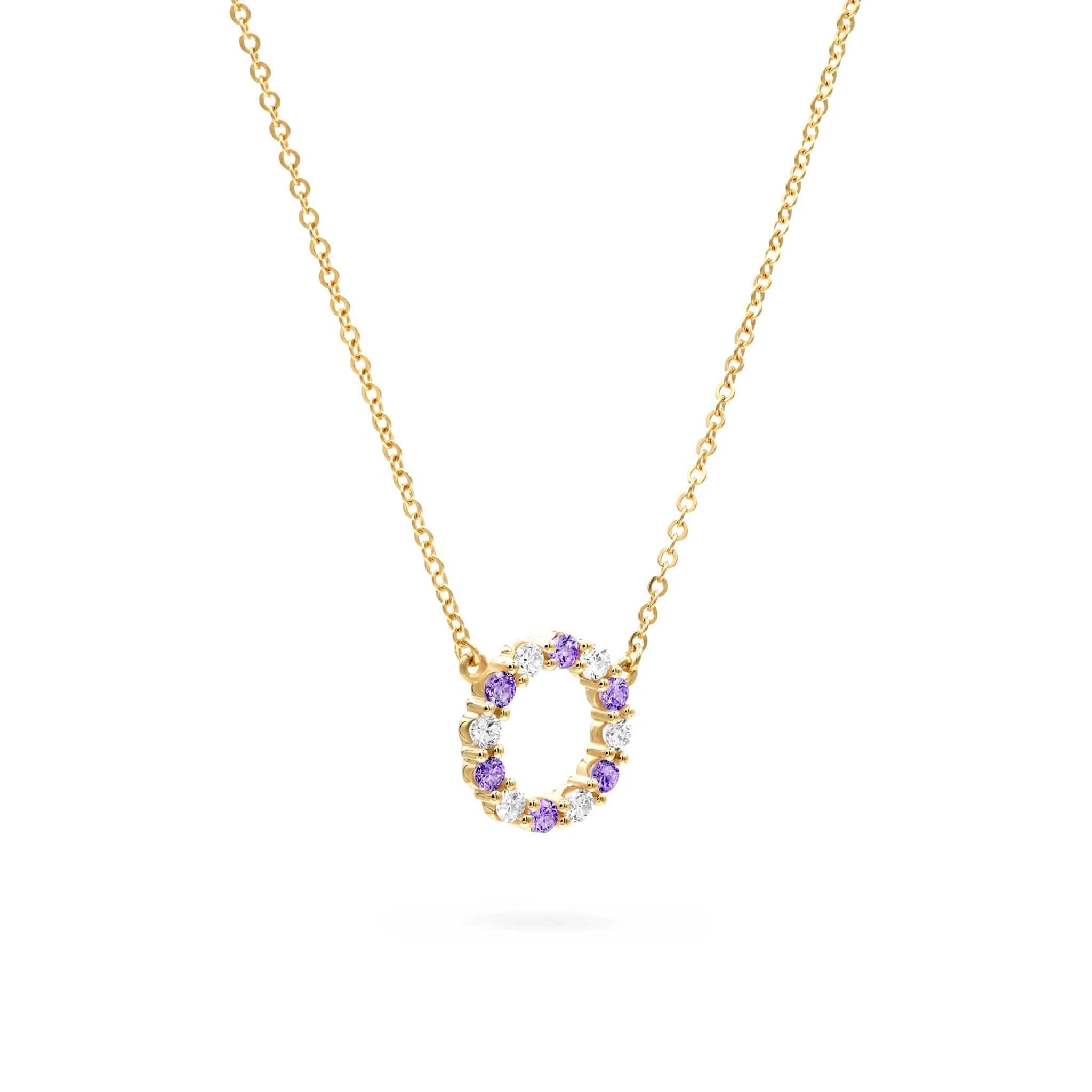 Rosecliff Small Circle Diamond & Amethyst Necklace in 14k Gold (February) - Image 4